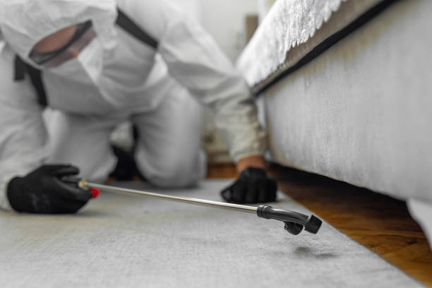 Professional Termite Control technician working in Colusa County County, CA